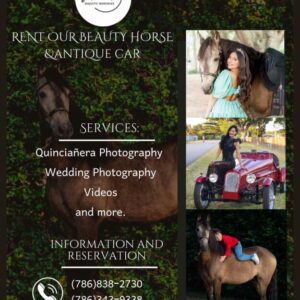 Renta de Caballos para eventos