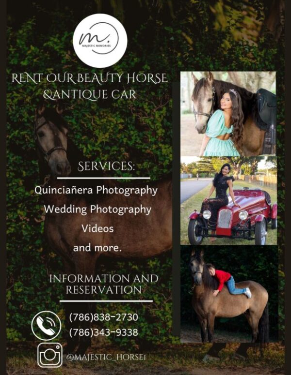 Renta de Caballos para eventos